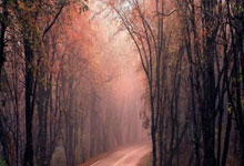 占比超过四分之一!历史共出现105次10+三分 库里一人上演27次.