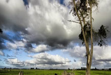 中国篮协谈WCBA赛制改革:初见成效,将持续优化.