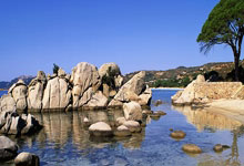 全国速度滑冰冠军赛在新疆开赛.